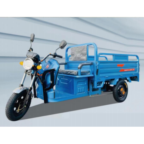 new style electric cargo Tricycle
